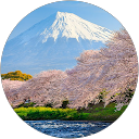 suiching marma profile picture