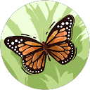 Khadiza Akter profile picture